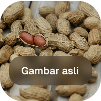 Lebih Menggoda, Lebih Laris